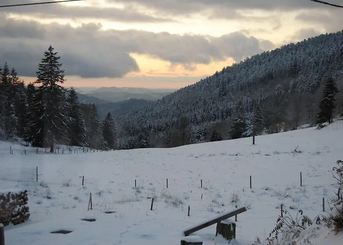 Du Col Du Bonhomme Hotel Plainfaing