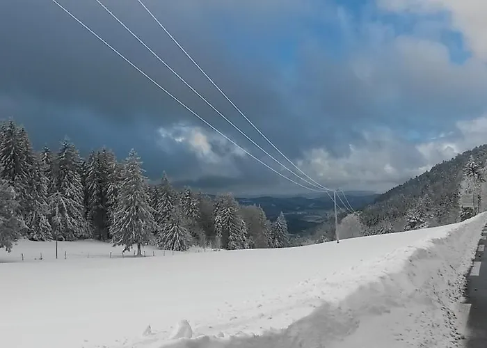 Du Col Du Bonhomme Hotel Plainfaing