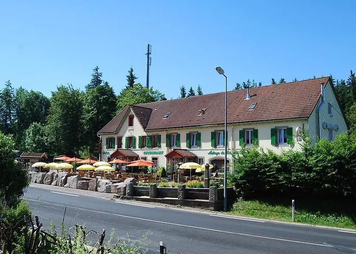 Du Col Du Bonhomme Hotel Plainfaing